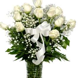 Dozen Long Stemmed White Roses with Baby's Breath