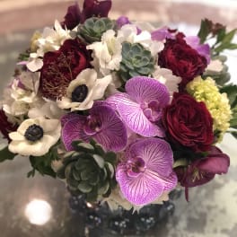 Bouquet of burgundy roses, white anemones, and purple orchids with succulents