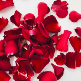 Scattered red rose petals on a white background