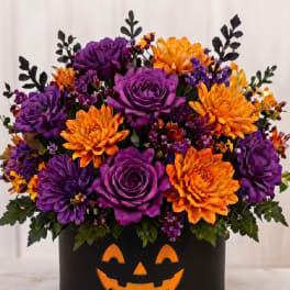Jack-O-Lantern Bloom