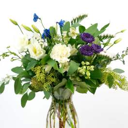 Our Birthday Collection: Coolest Birthday Wishes [Deluxe Blooms]