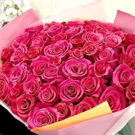 Bouquet of bright pink roses wrapped in pink paper