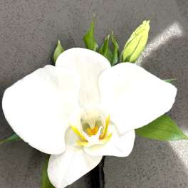 White orchid boutonniere with green leaves
