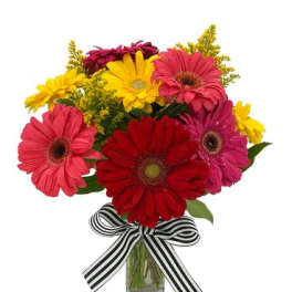 Bright gerbera daisy bouquet in a glass vase with a striped ribbon