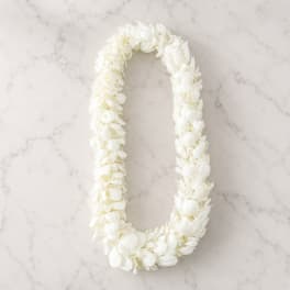 White Orchid Lei – Elegant Tropical Floral Lei
