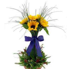 Sunflower arrangement in a terracotta pot with a purple ribbon