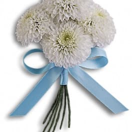 White chrysanthemum bouquet tied with a blue ribbon