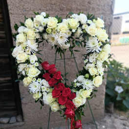Bleeding Heart
