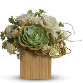 Low arrangement of white roses and a green succulent in a square wooden container