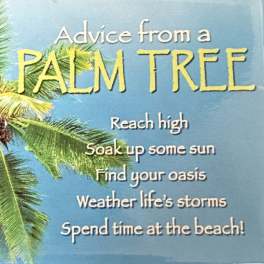 Advice From A Palm Tree Magnet