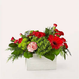 Red and green floral arrangement in a white box container