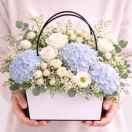 Coastal Breeze