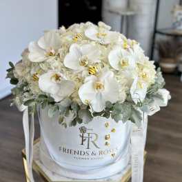 White orchids and hydrangeas in a round hatbox with ribbon
