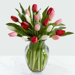 Bouquet of red, pink, and white tulips in a clear glass vase