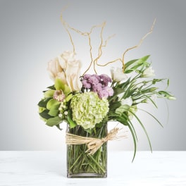 Cream roses and green hydrangea in a square glass vase with twigs