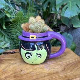 Small cactus arrangement in a purple witch-themed mug planter