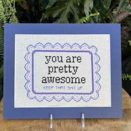 Framed cross-stitch card with a rude message on a blue backing