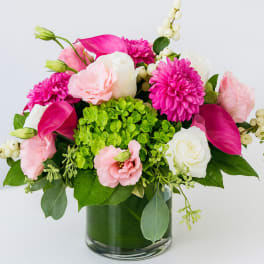 Blush & Fuchsia Harmony