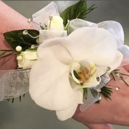 White orchid wrist corsage with sheer ribbon and small white buds on a wrist