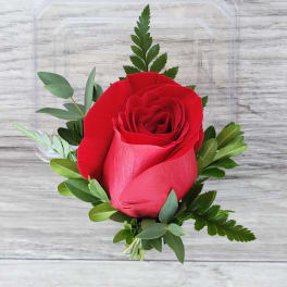 Single red rose with greenery in a clear plastic box