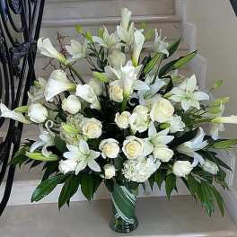 Pure in White