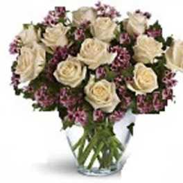 Victorian Lovestory of Roses