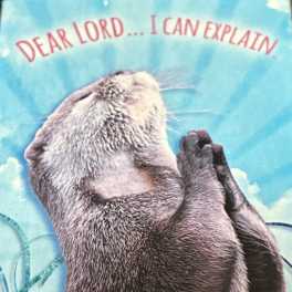 Dear Lord...I Can Explain Magnet