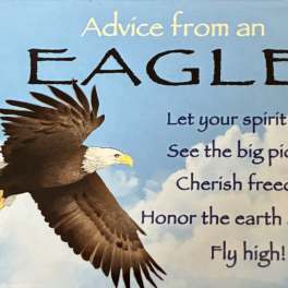 Advice From An Eagle Magnet