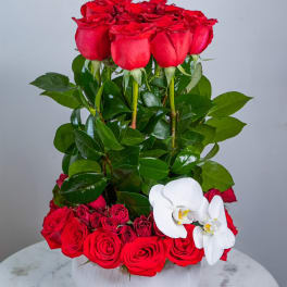 Red roses arranged in a white vase with white orchids