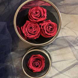 Three red roses in round black boxes on sheer fabric