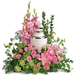Sacred Solace