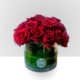 Red roses arranged in a clear glass vase with green water