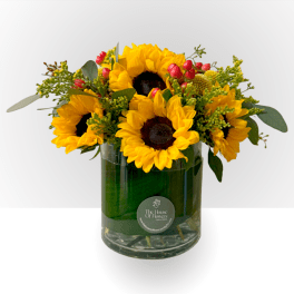 Sunflower arrangement in a clear glass vase with red berry accents
