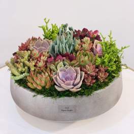 Succulent Garden Bowl