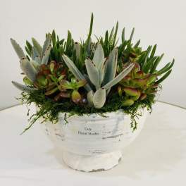 Rustic Succulent Garden Bowl
