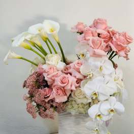 Blush Orchid Elegance