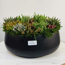 Premium Succulent Centerpiece