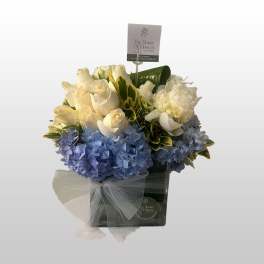 Bouquet of white roses and blue hydrangeas in a gift box with a sheer bow