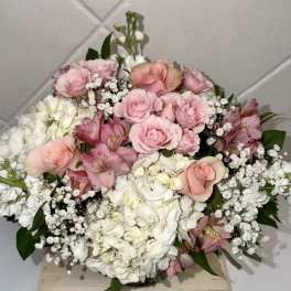 Soft & Sweet Pastel Treat