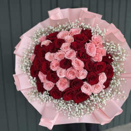 Bouquet of red and pink roses wrapped in pink paper with baby's breath