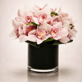 Blush Orchid Whisper