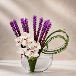Orchid Amethyst Zen