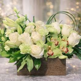 Luxe Botanical Bliss