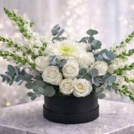Ivory Grace