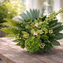 Emerald Garden