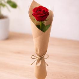 The Surprise Rose