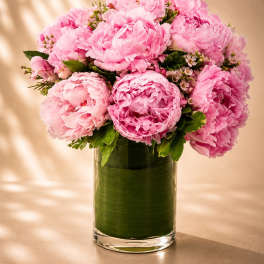 Rosé Peony Couture