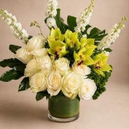 Ivory Orchid Elegance