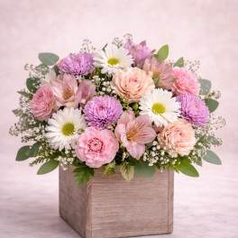 Pastel Serenity Box