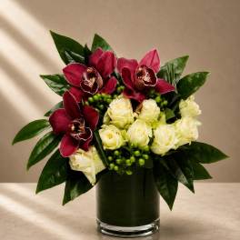 Noir Orchid Elegance